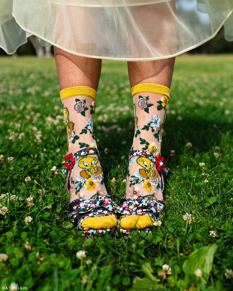 Looney Tunes Sheer Socks Bundle Fashion Socks Sheer Socks Cute Socks Looney Tunes Socks Lola Bunny Socks Tweety Bird Socks Socks with heels